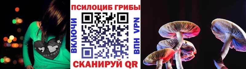 OMG как войти  Кириши  Галлюциногенные грибы мухоморы 
